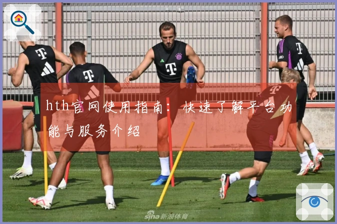 hth官网使用指南：快速了解平台功能与服务介绍